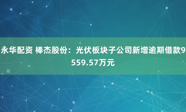 永华配资 棒杰股份：光伏板块子公司新增逾期借款9559.57万元