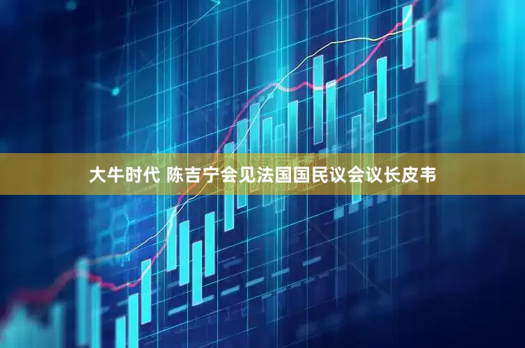 大牛时代 陈吉宁会见法国国民议会议长皮韦