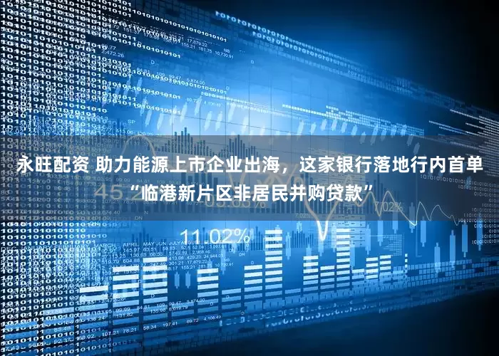 永旺配资 助力能源上市企业出海，这家银行落地行内首单“临港新片区非居民并购贷款”