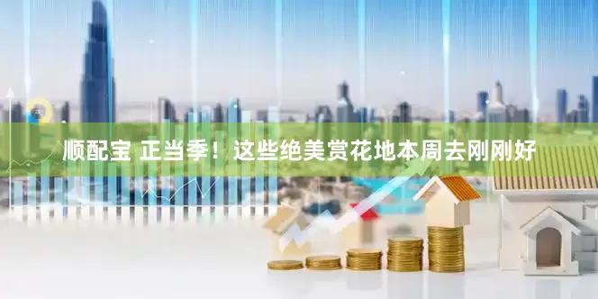顺配宝 正当季！这些绝美赏花地本周去刚刚好