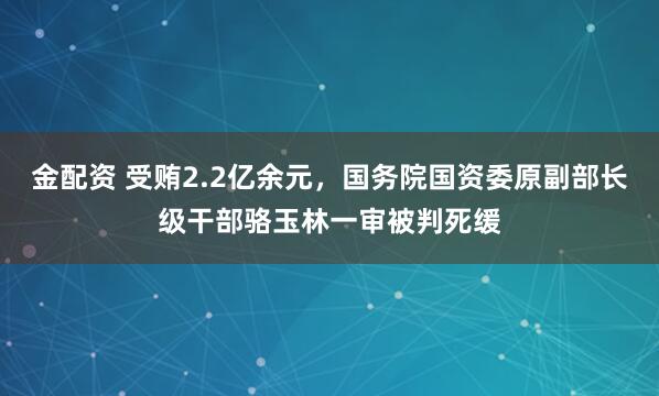 金配资 受贿2.2亿余元，国务院国资委原副部长级干部骆玉林一审被判死缓