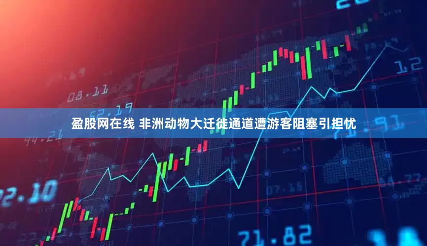 盈股网在线 非洲动物大迁徙通道遭游客阻塞引担忧